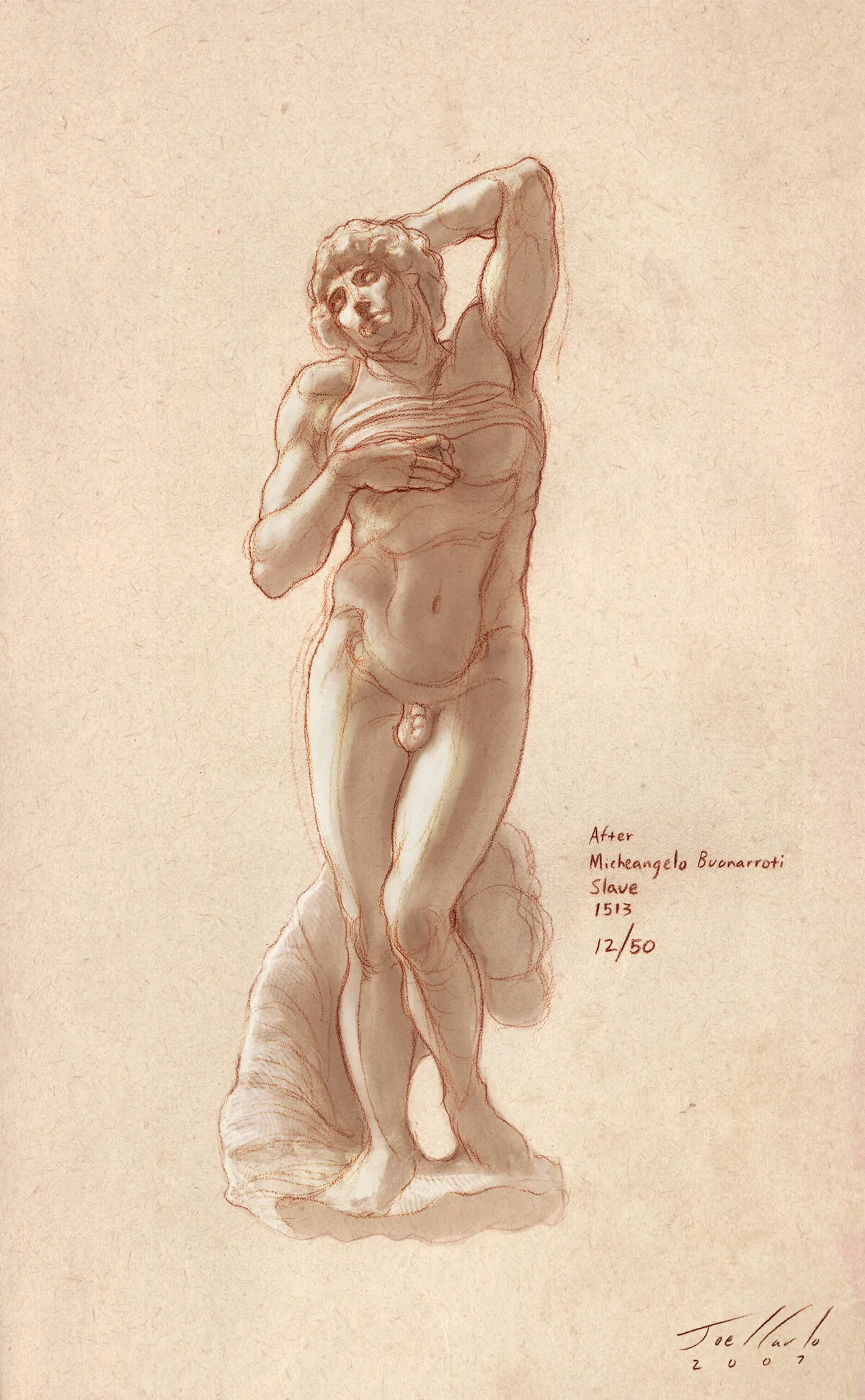 Anatomy Lesson Series Torsos